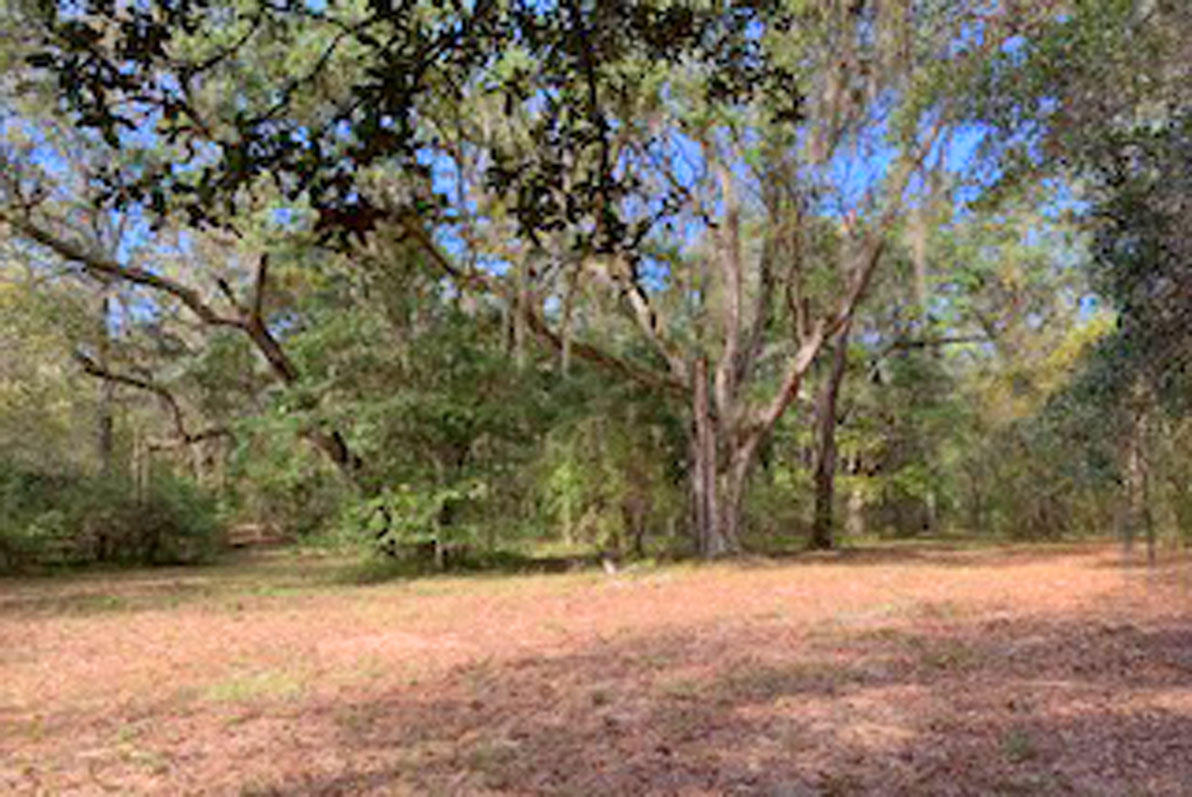 0 North Santee River Road Georgetown, SC 29440 - Photo 4 of 6 Commander's Island