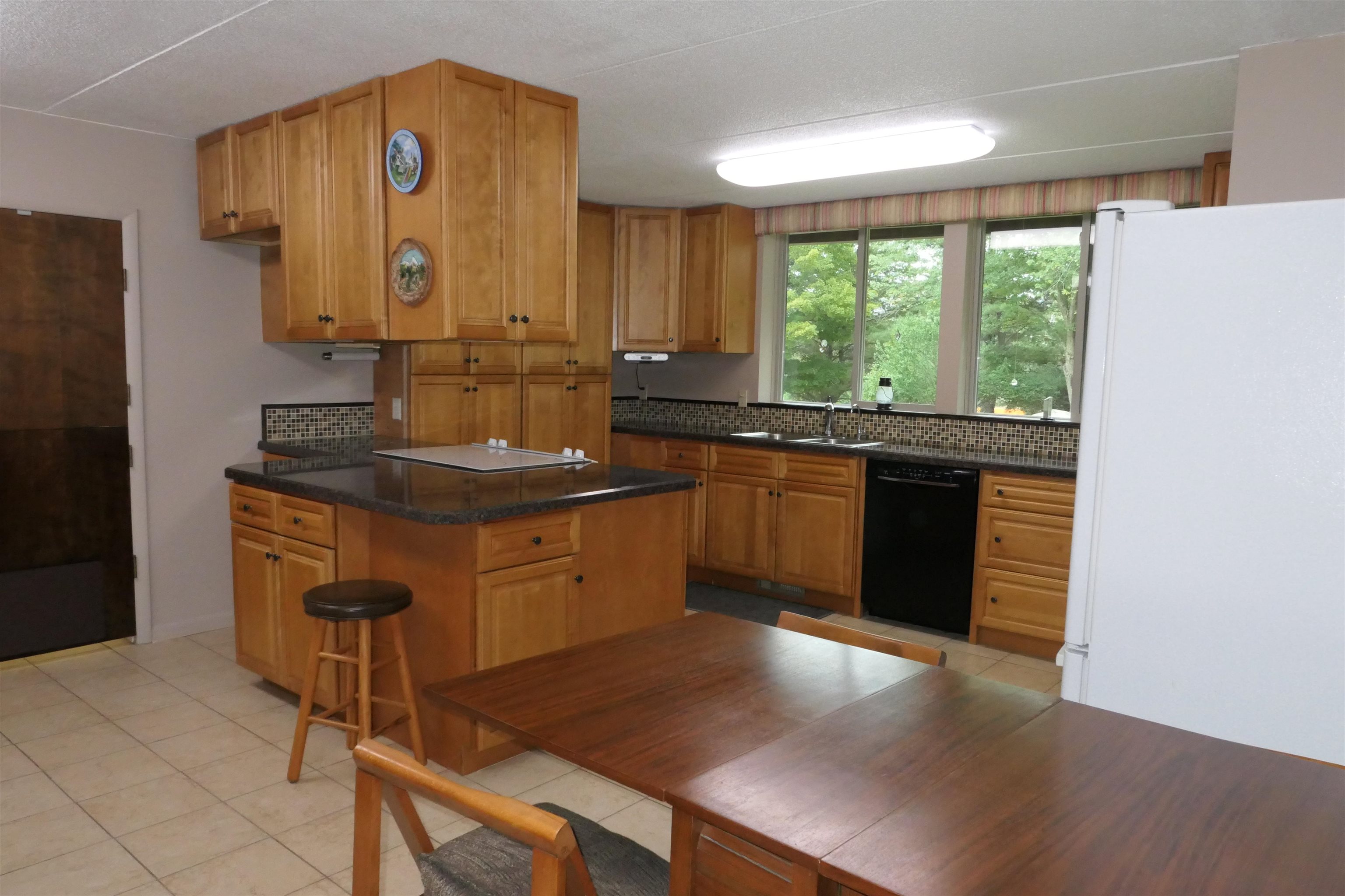 5669 Lake Montcalm Road Northeast Edmore, MI 48829 - Photo 9 of 41