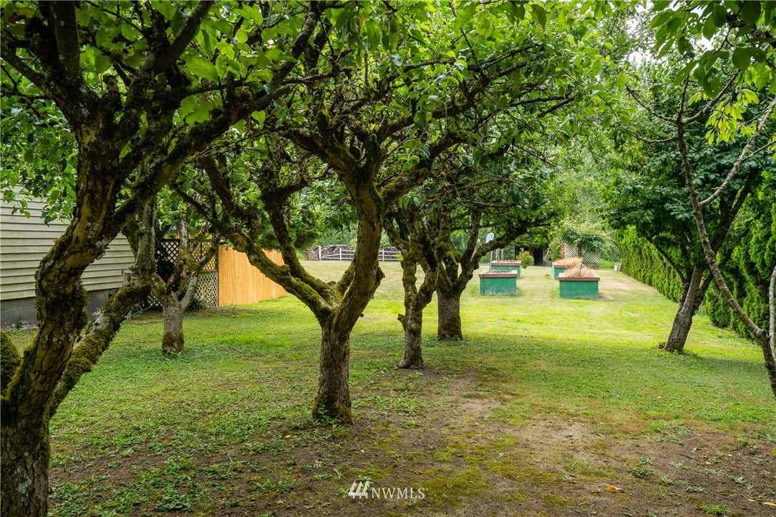 4683 Aldrich Road Bellingham, WA 98226 - Photo 11 of 19 Gallery Image 11