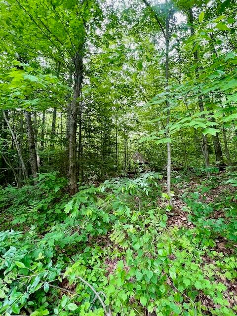 Ray Road Mio, MI 48647 - Photo 20 of 30 Gallery Image 20