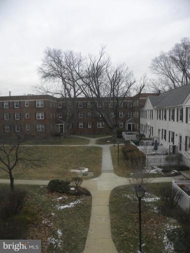 View from Unit