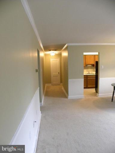 2912 13th Road South, Unit 201 Arlington, VA 22204 - Photo 6 of 15 Unique #2