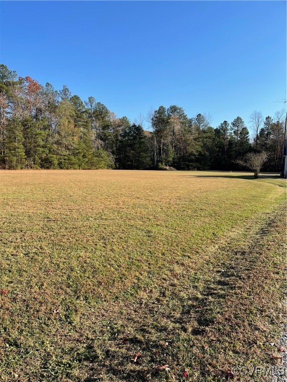 20020 Frog Level Road Ruther Glen, VA 22546 - Photo 21 of 32 View of yard