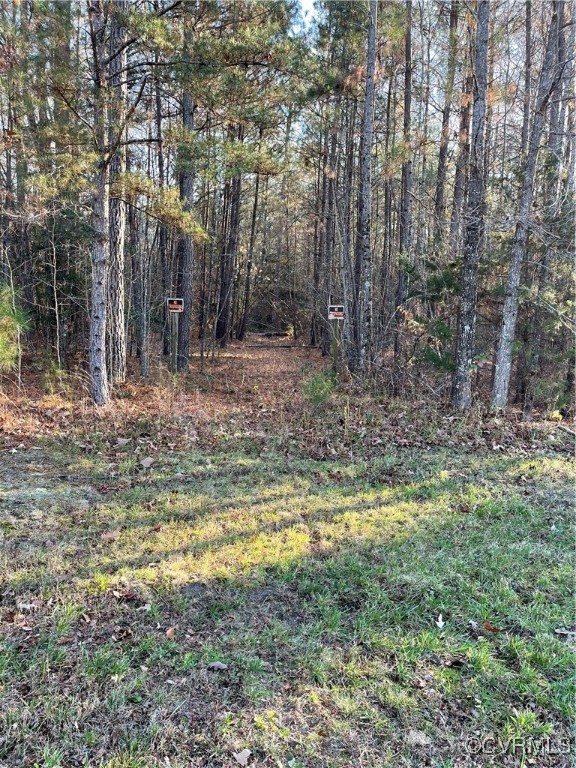 20020 Frog Level Road Ruther Glen, VA 22546 - Photo 26 of 32 View of yard