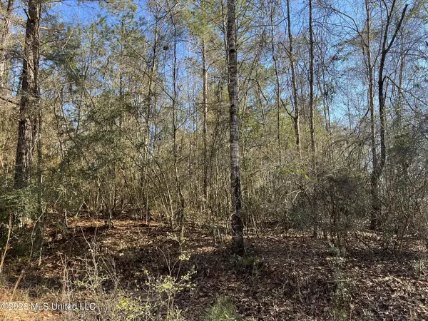$8,000 | Lot197 West Woodland Drive, Lumberton, MS 39455