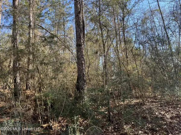 $8,000 | Lot197 West Woodland Drive, Lumberton, MS 39455
