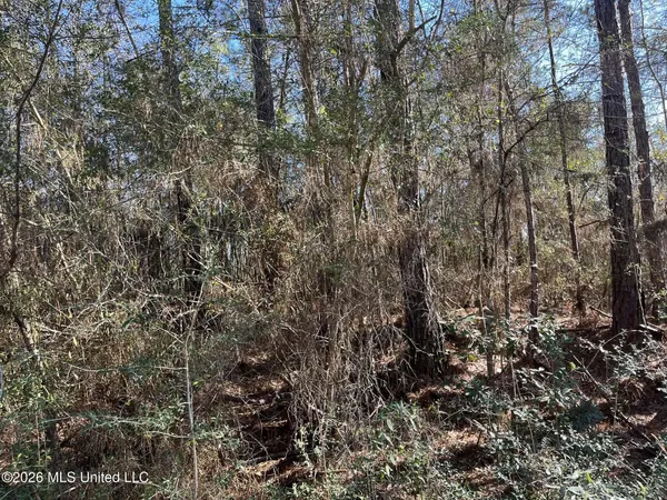 $8,000 | Lot197 West Woodland Drive, Lumberton, MS 39455
