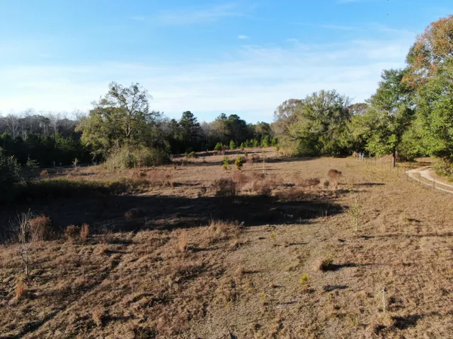 a view of a yard with wooden fence