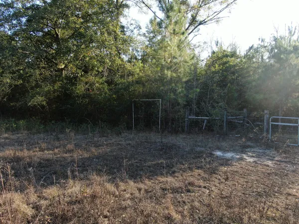 a view of a yard