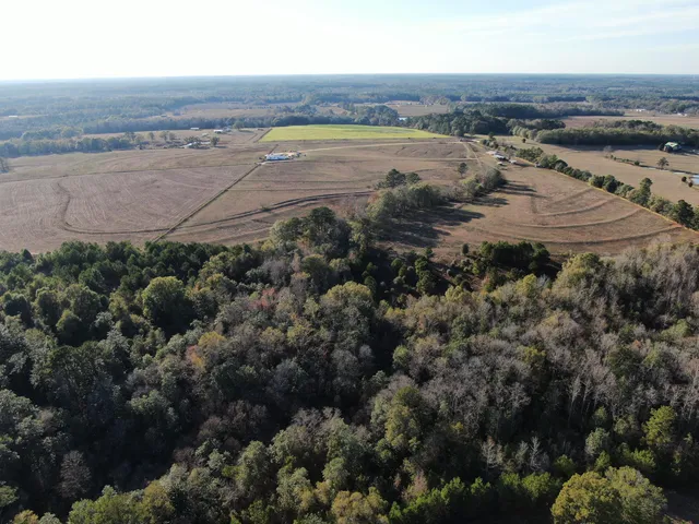 an aerial view of a beach