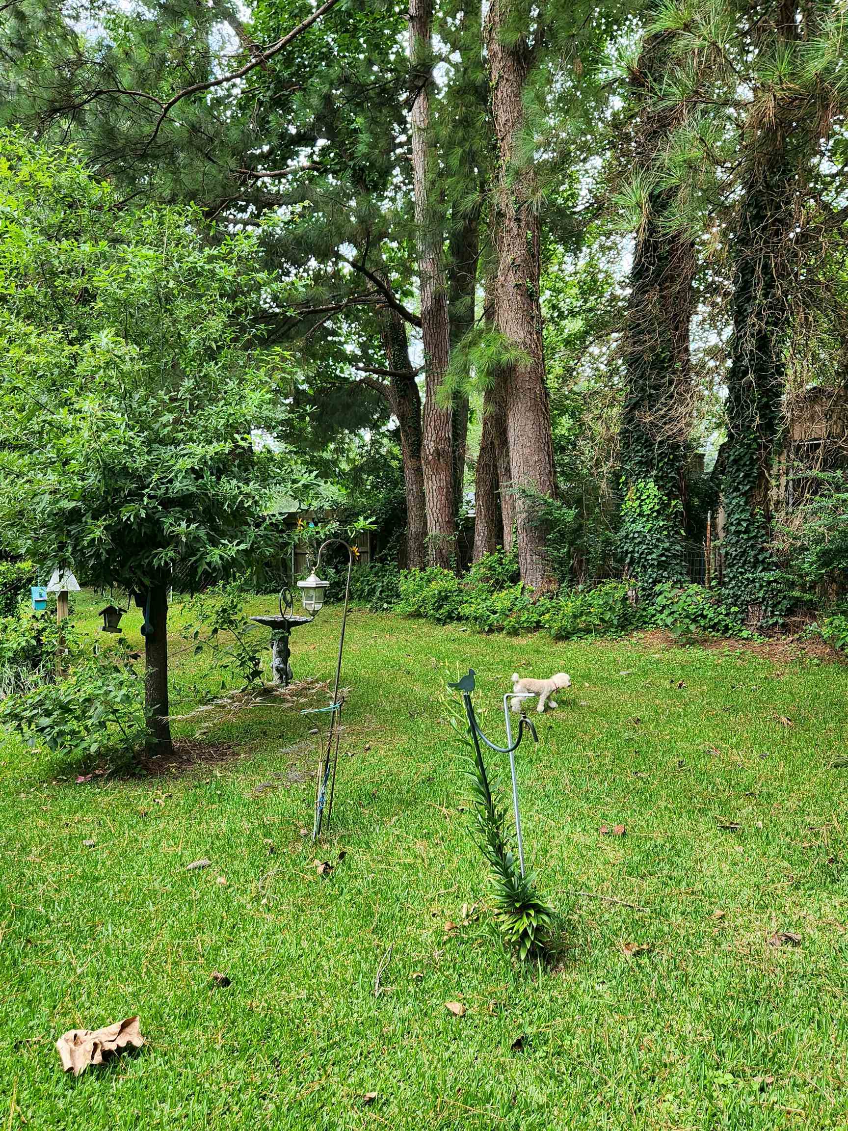 1221 Crestview Street Covington, TN 38019 - Photo 13 of 16