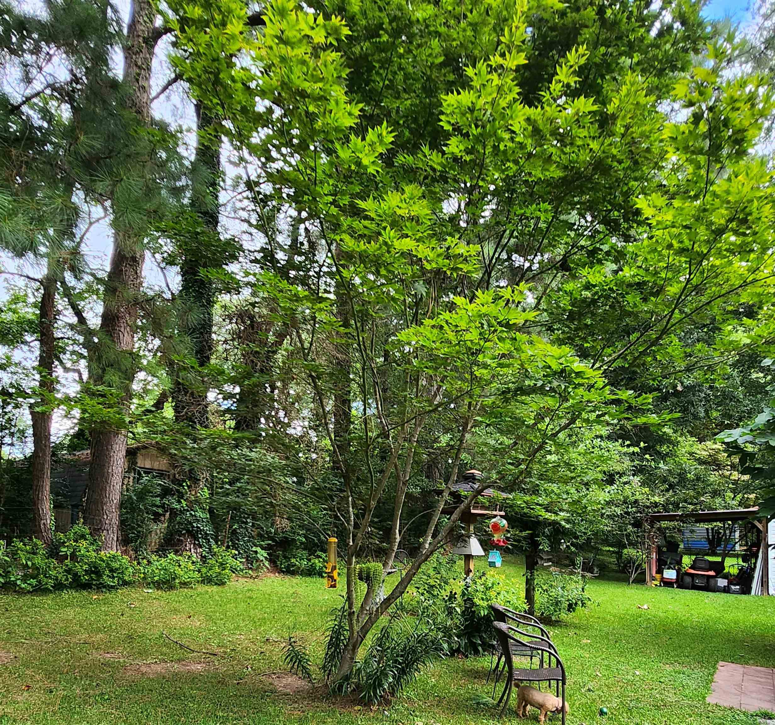 1221 Crestview Street Covington, TN 38019 - Photo 14 of 16