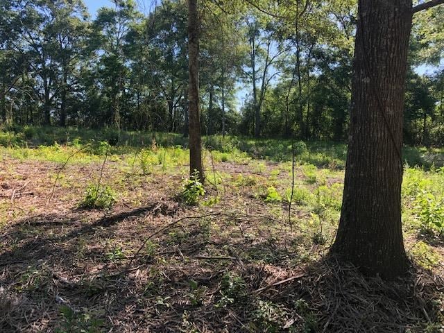 2-lot Dyess Dairy Road Opp, AL 36467 - Photo 5 of 12 Gallery Image 5