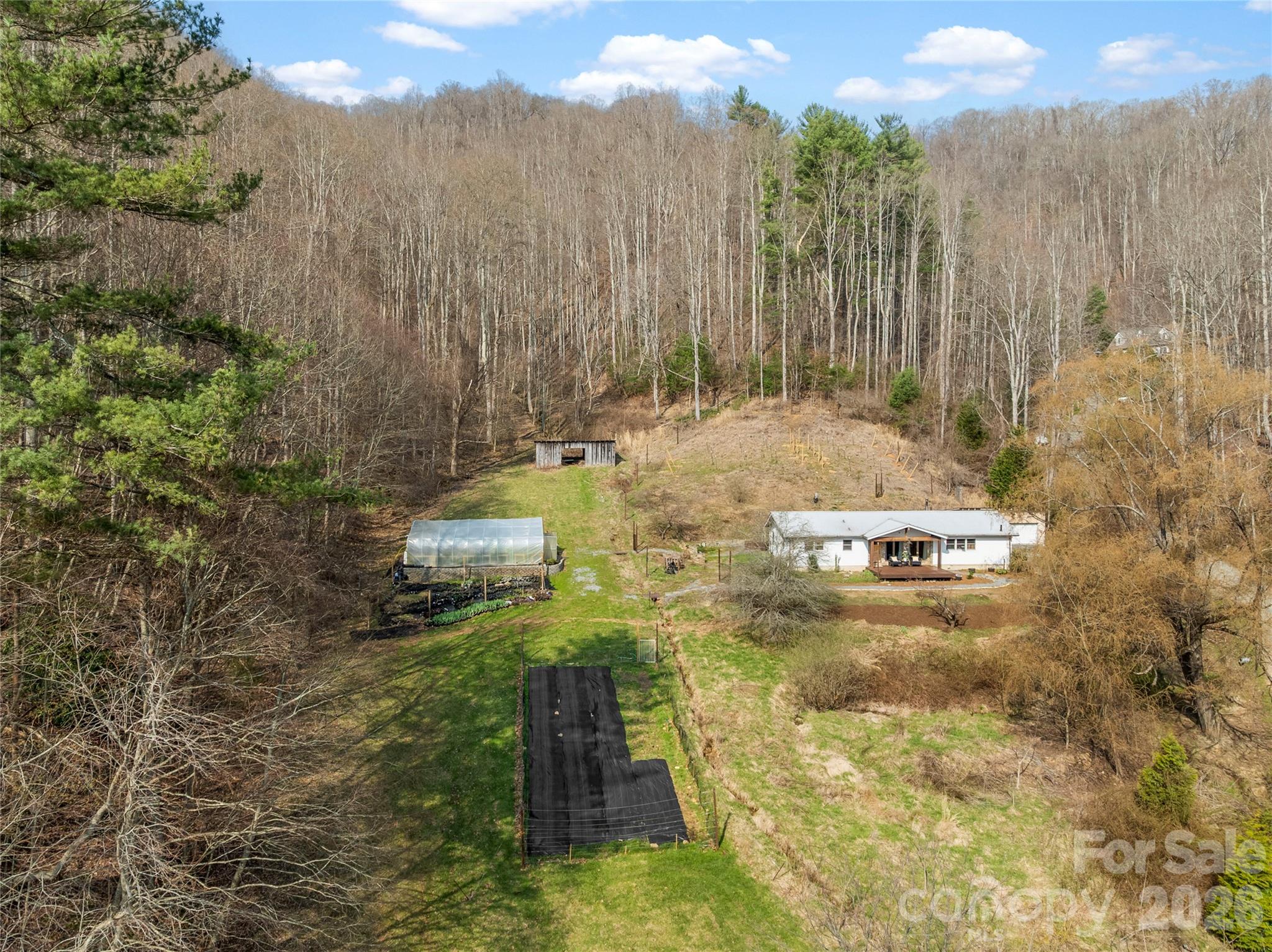 1105 Griffin Branch Road Marshall, NC 28753 - Photo 2 of 48