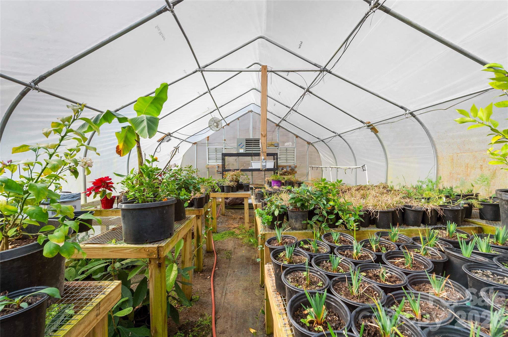 1105 Griffin Branch Road Marshall, NC 28753 - Photo 27 of 48