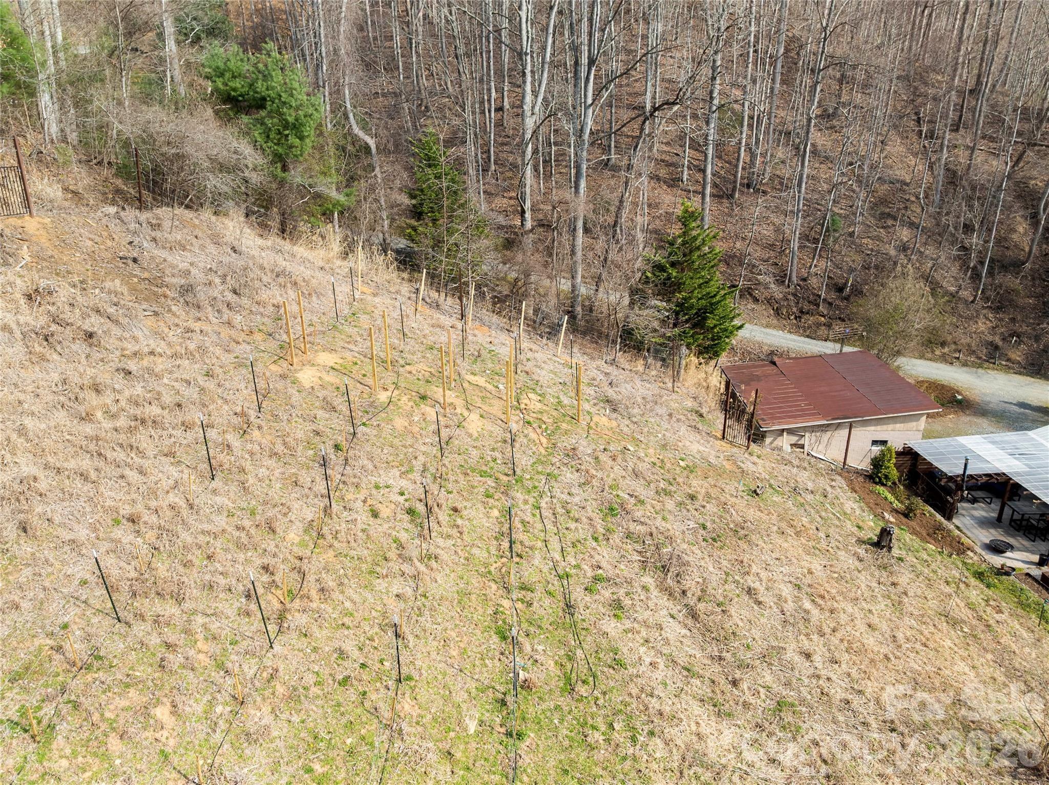 1105 Griffin Branch Road Marshall, NC 28753 - Photo 38 of 48