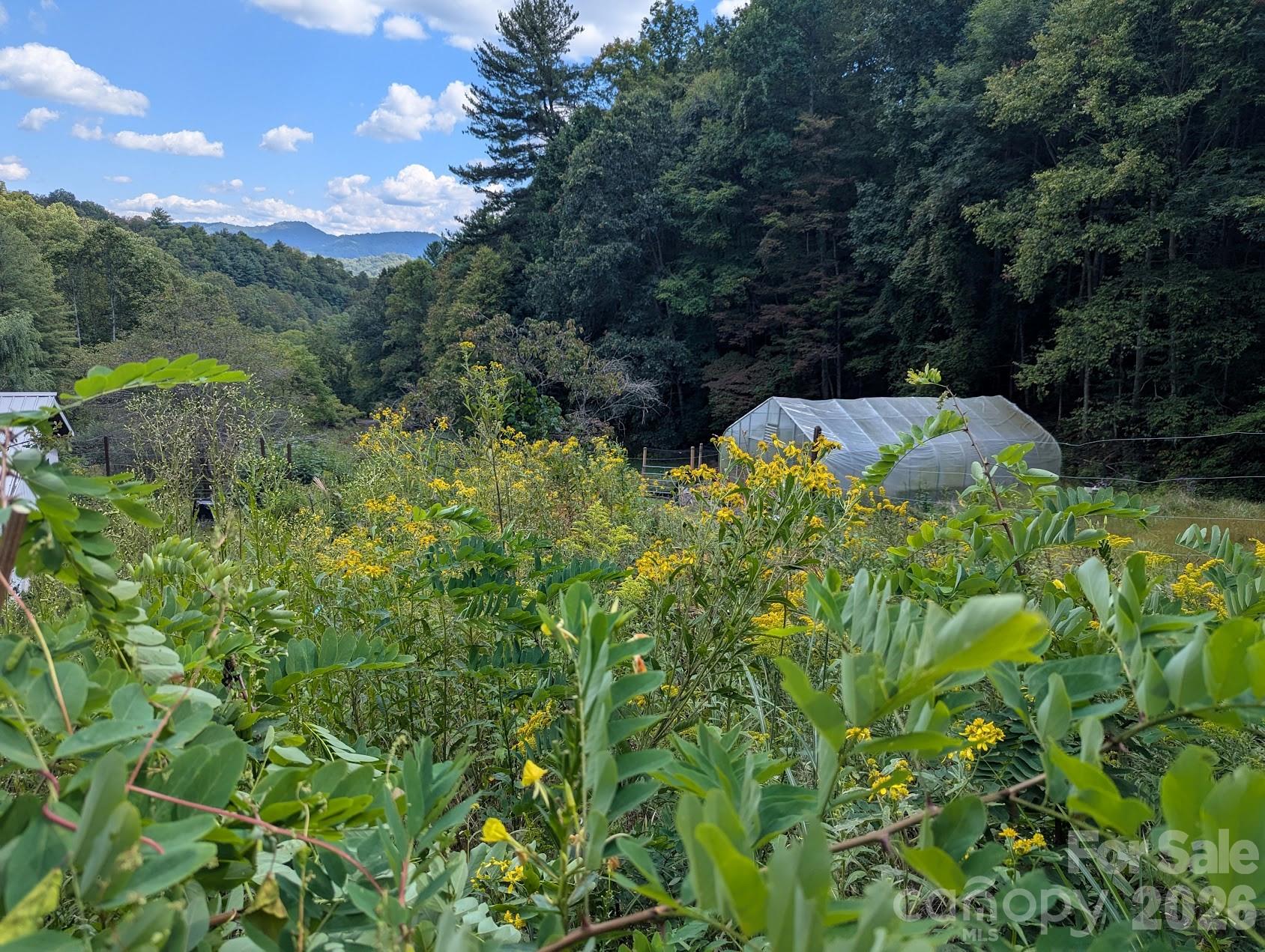 1105 Griffin Branch Road Marshall, NC 28753 - Photo 46 of 48