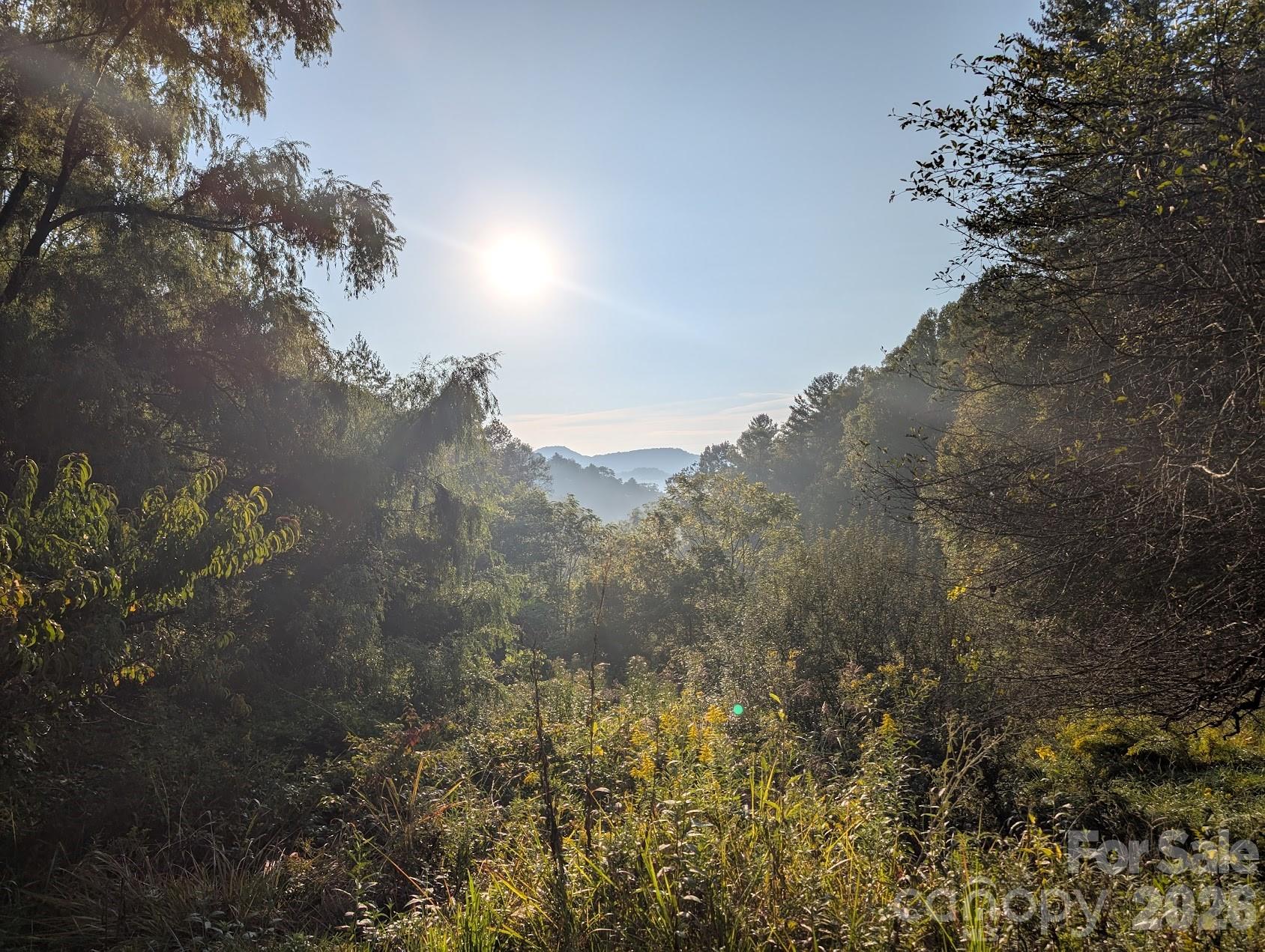 1105 Griffin Branch Road Marshall, NC 28753 - Photo 47 of 48