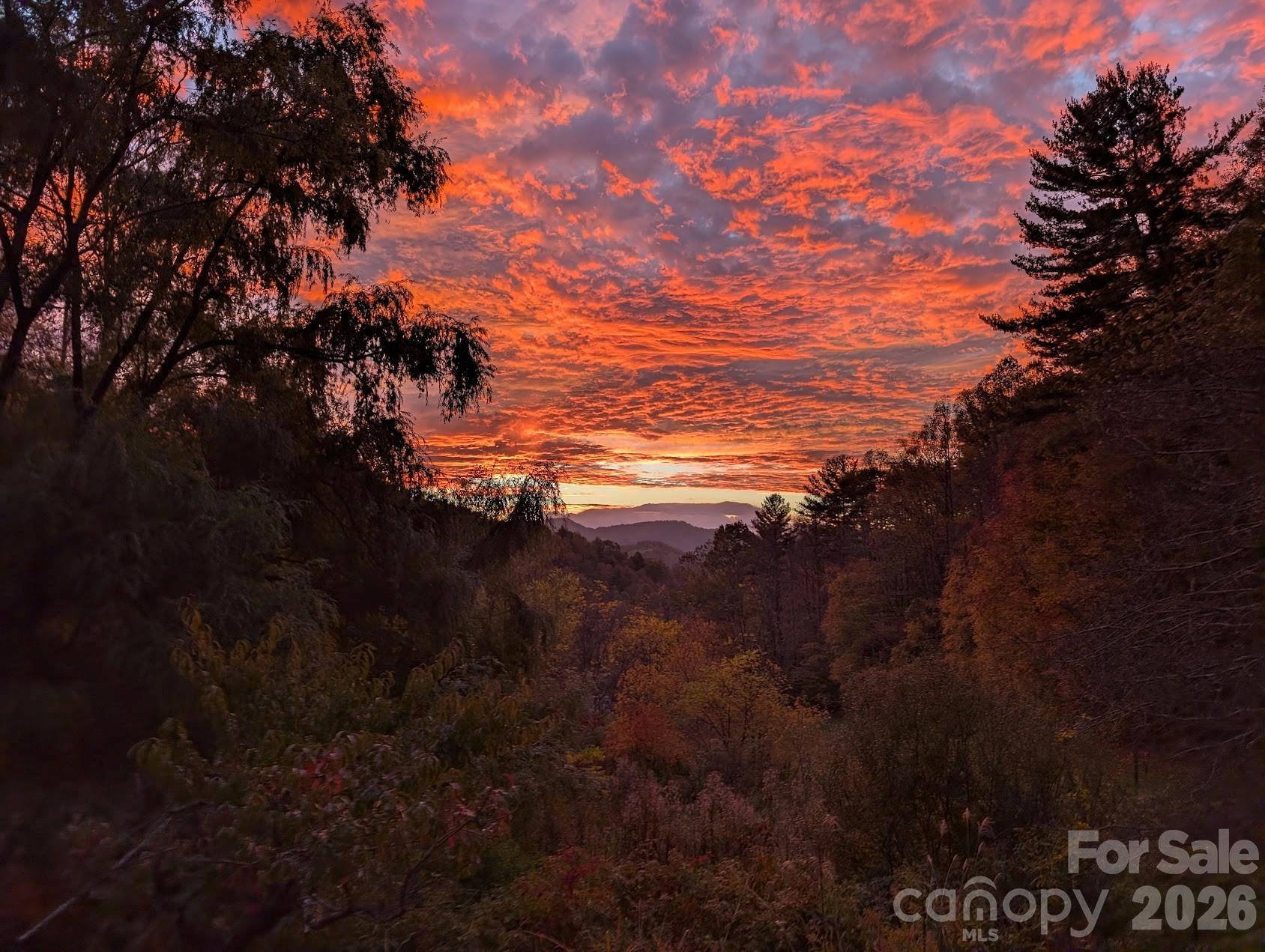 1105 Griffin Branch Road Marshall, NC 28753 - Photo 48 of 48