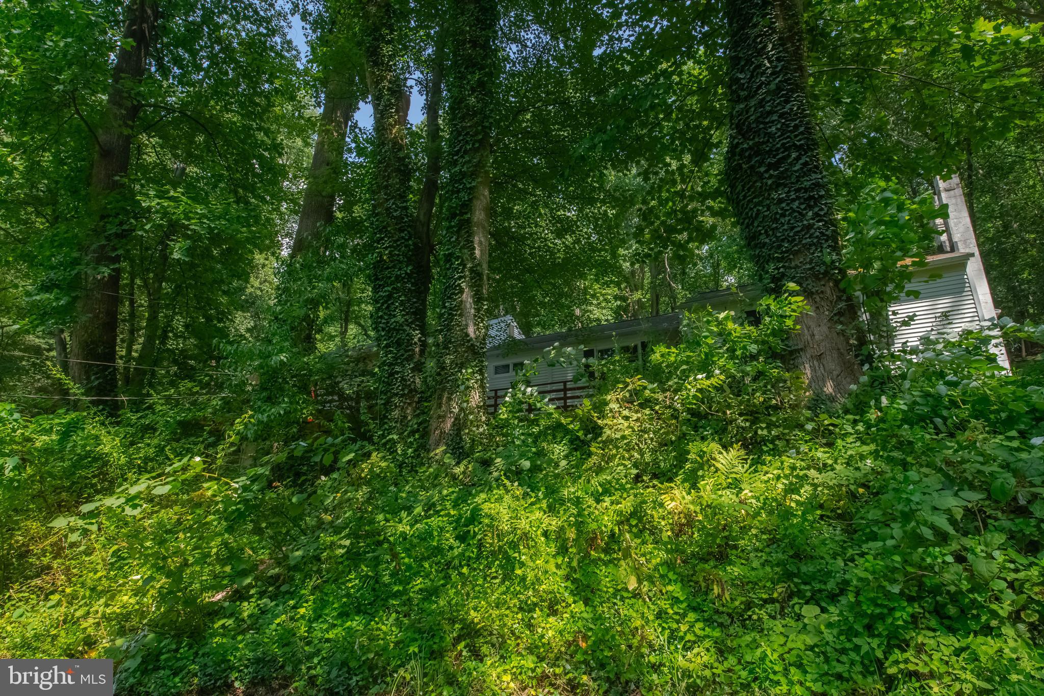 2525 Friendship Road Fallston, MD 21047 - Photo 19 of 74