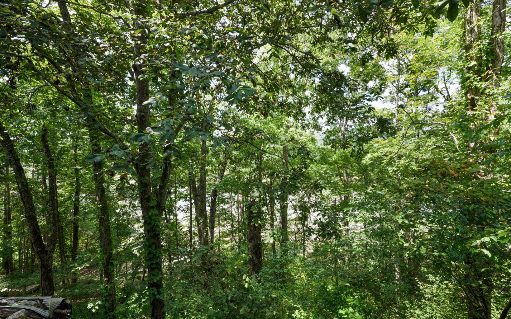 251 Walnut Road Blairsville, GA 30512 - Photo 15 of 31 Additional View