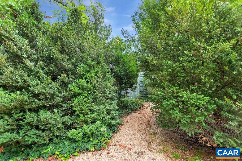 635 Greenwood Road Greenwood, VA 22943 - Photo 53 of 61 a view of a large yard with lots of green plants