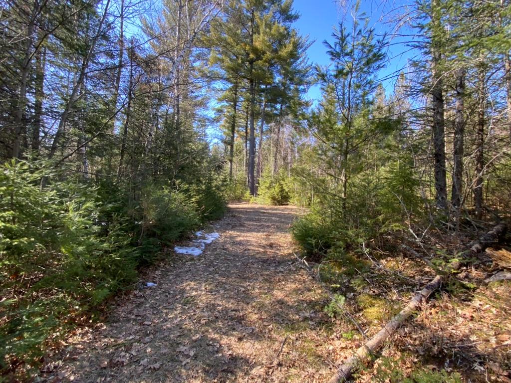 Lot14-15 Ryan Rpds Bluff Rhinelander, WI 54501 - Photo 5 of 16 Gallery Image 5