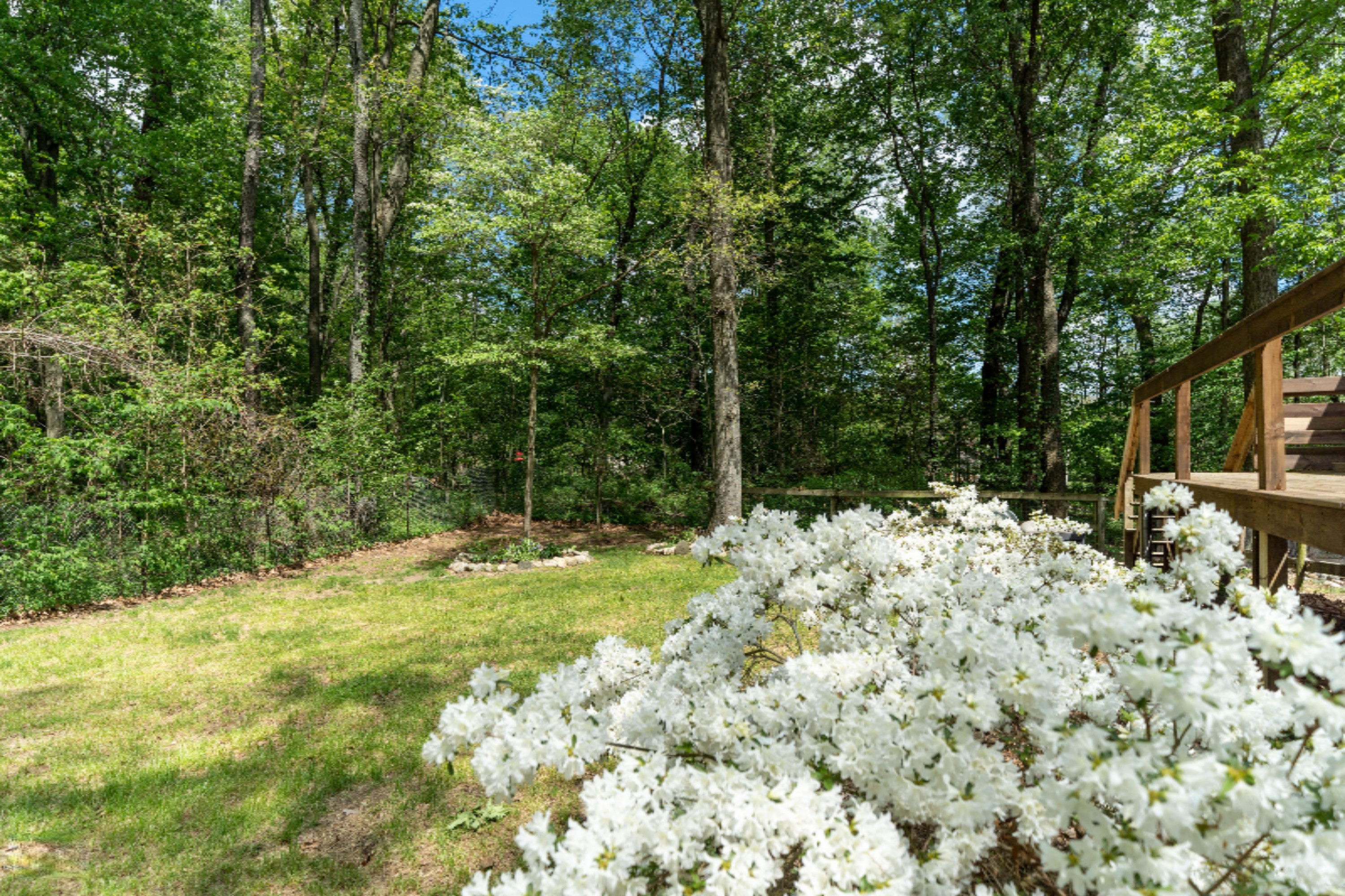 7761 Wolf Road Bellevue, MI 49021 - Photo 5 of 5 7761 Wolf Rd (6 of 6)