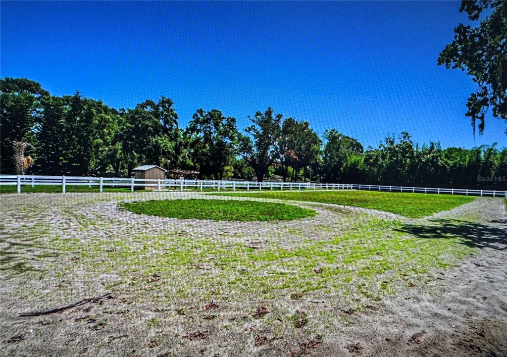 10502 Henderson Road Tampa, FL 33625 - Photo 11 of 16 a view of a golf course with a lake