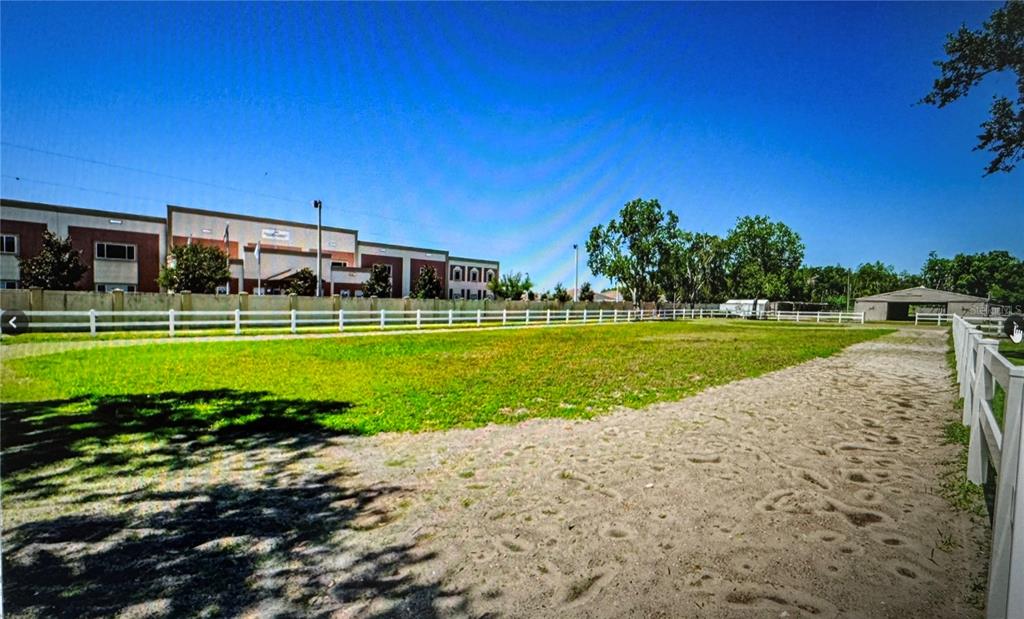 10502 Henderson Road Tampa, FL 33625 - Photo 12 of 16 a view of a swimming pool with a yard