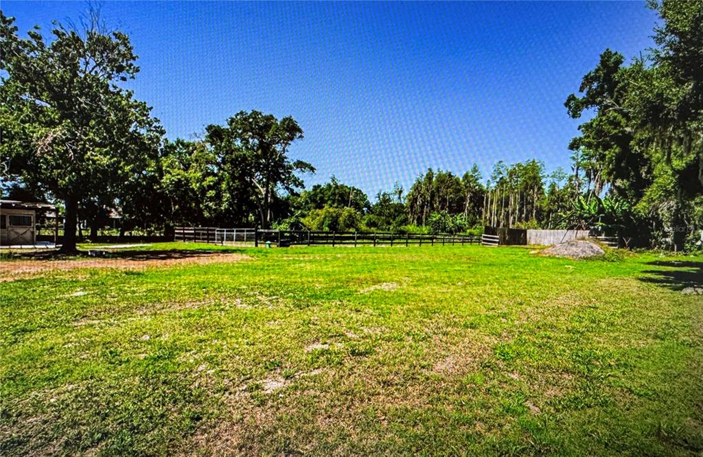 10502 Henderson Road Tampa, FL 33625 - Photo 14 of 16