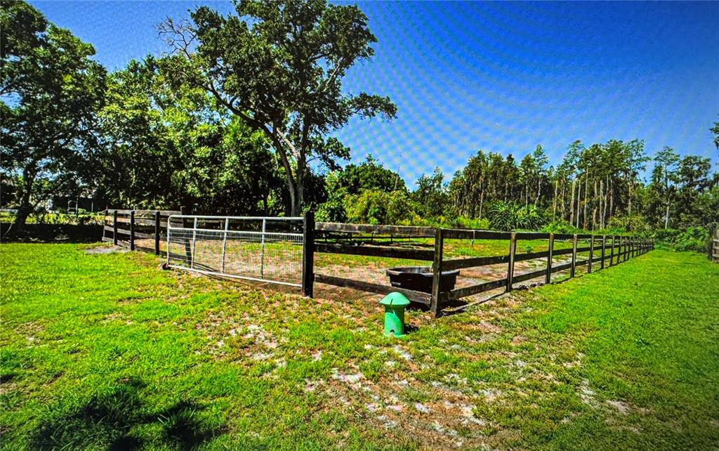 10502 Henderson Road Tampa, FL 33625 - Photo 16 of 16 a park view with a bench