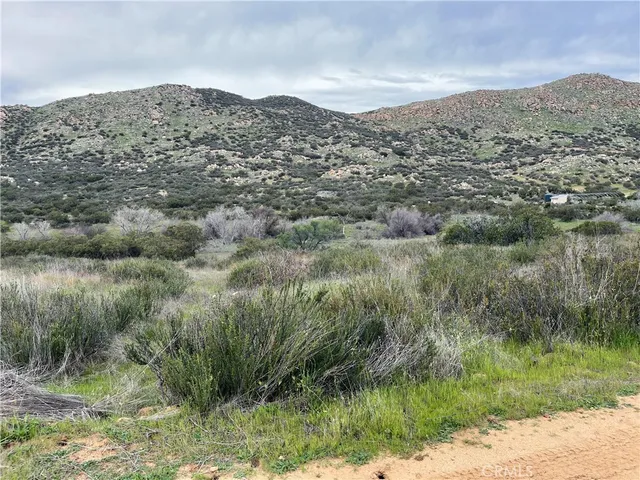 a view of a mountain in the distance in a field