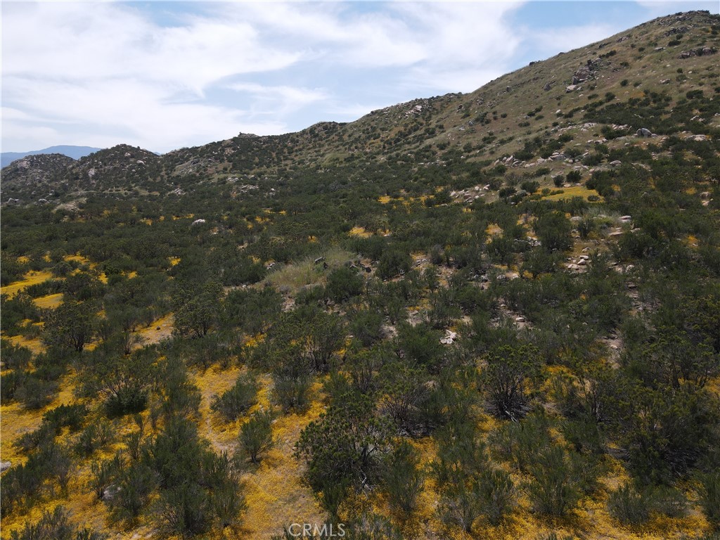 25 Los Altos Hemet, CA 92544 - Photo 10 of 16 a view of a large tree