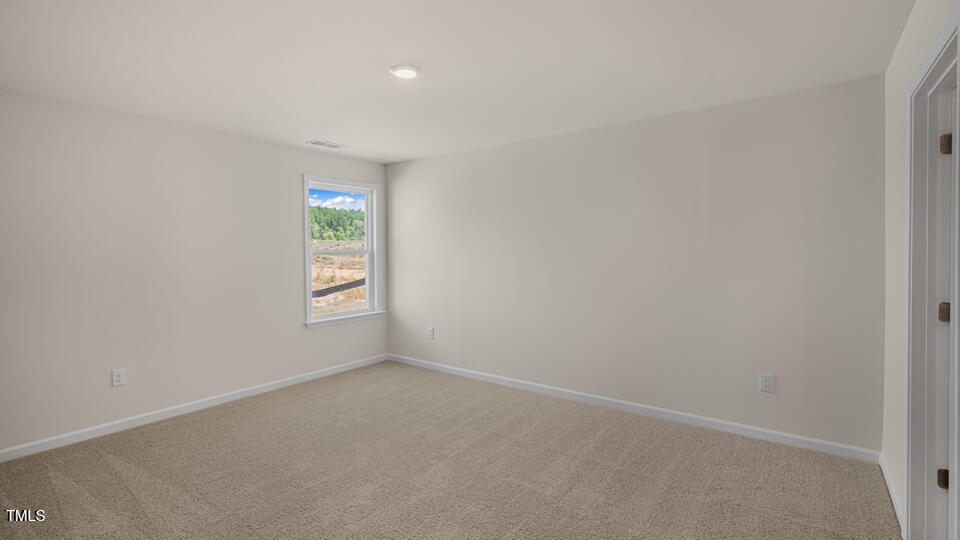 154 Red Jasper Way Clayton, NC 27520 - Photo 25 of 38 217-umstead-033