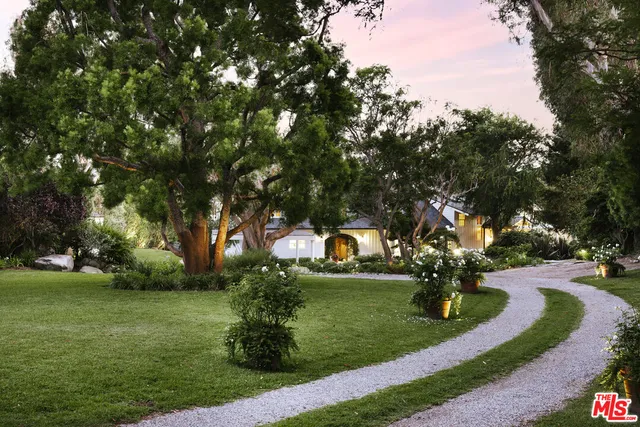 a view of a park with large trees