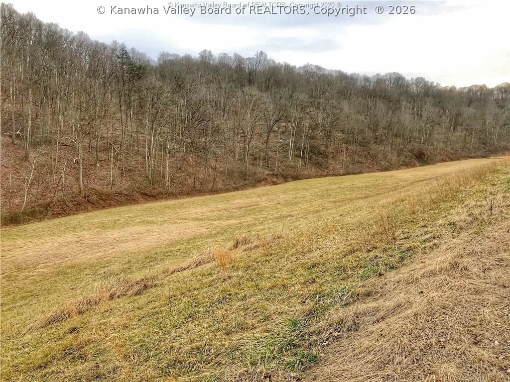 831 Jesses Run Road Ravenswood, WV 26164 - Photo 32 of 38 Gallery Image 32