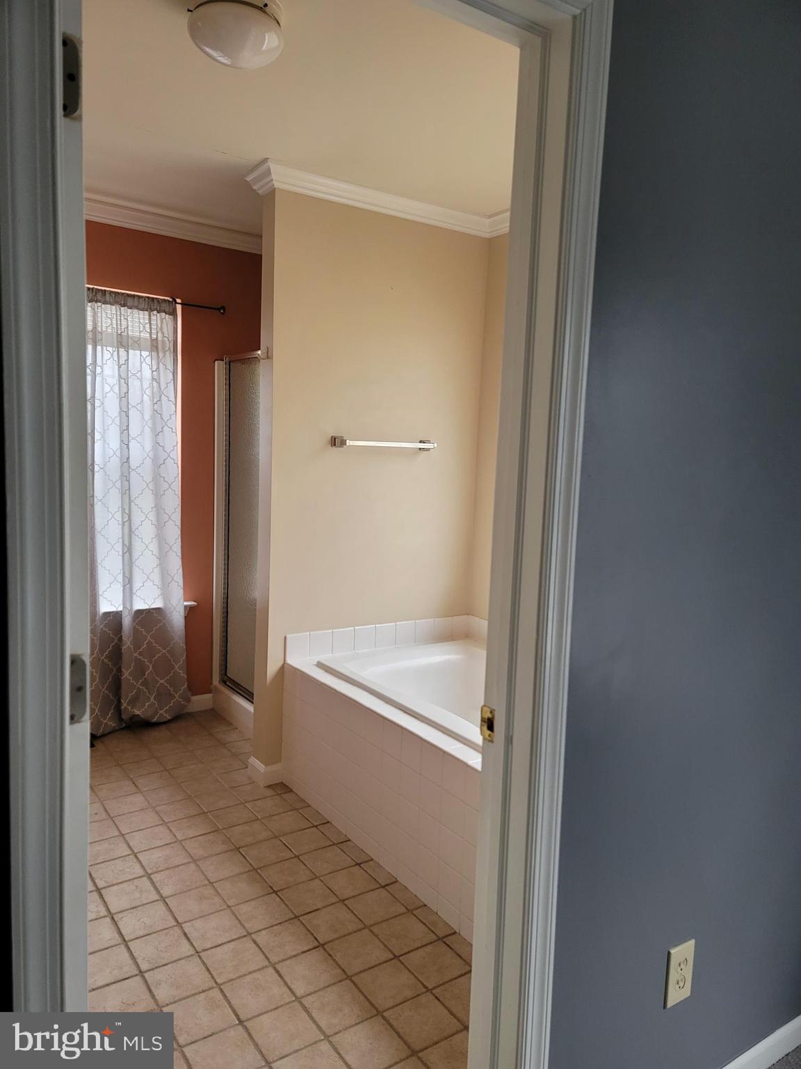 470 Buchanan Road Perkasie, PA 18944 - Photo 56 of 69 MASTER BATH