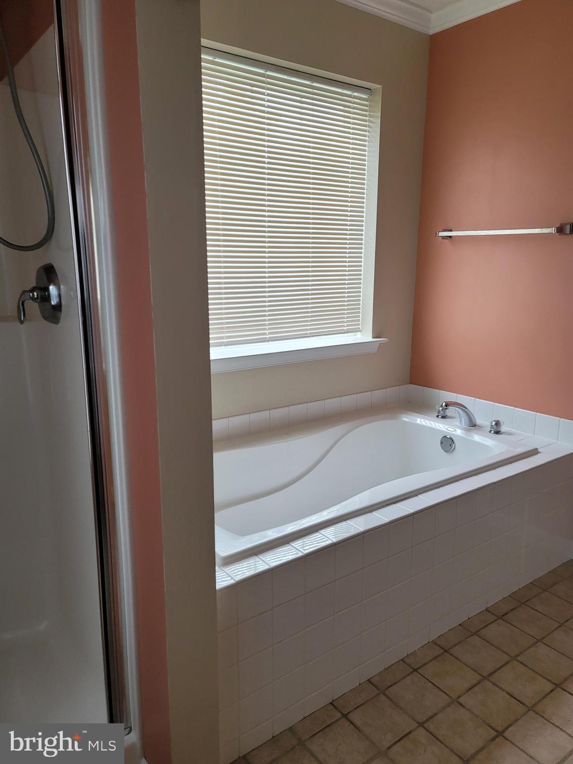 470 Buchanan Road Perkasie, PA 18944 - Photo 57 of 69 MASTER BATH