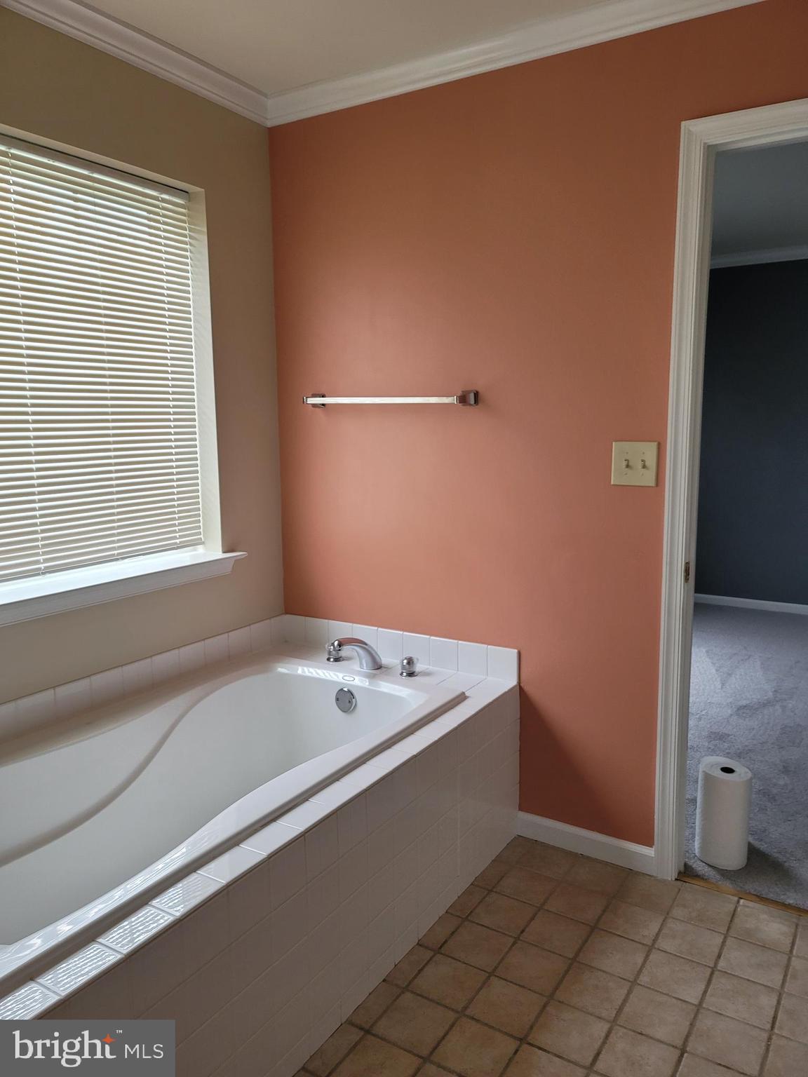 470 Buchanan Road Perkasie, PA 18944 - Photo 58 of 69 MASTER BATH