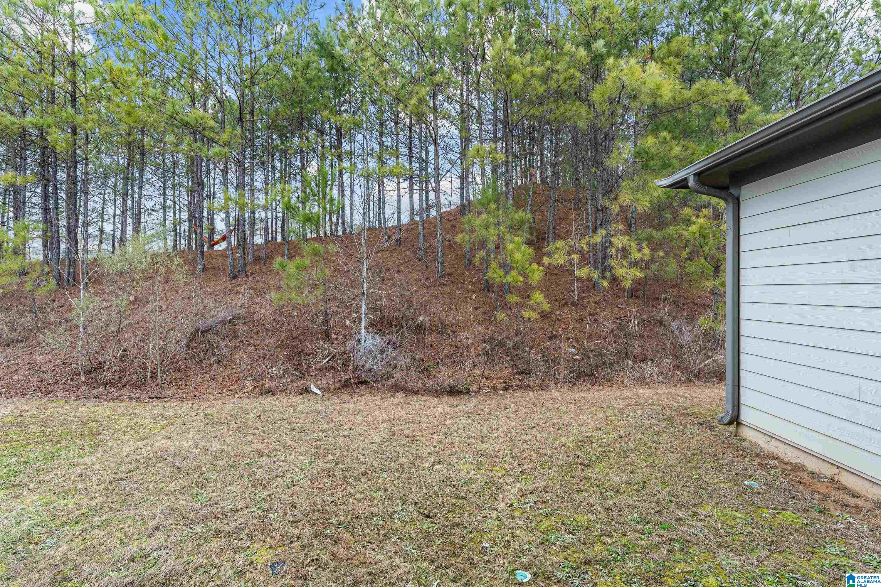 568 Polo Way Chelsea, AL 35043 - Photo 22 of 25