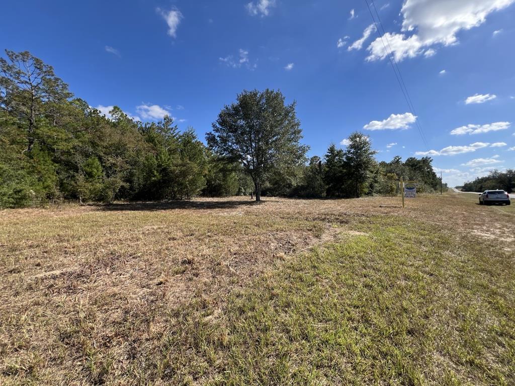 Lot 30 Fairview Road Marianna, FL 32448 - Photo 1 of 30 Gallery Image 1