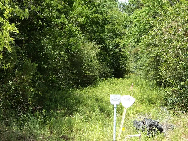 $5,495,000 | 2620 Highway 90, New Orleans, LA 70119