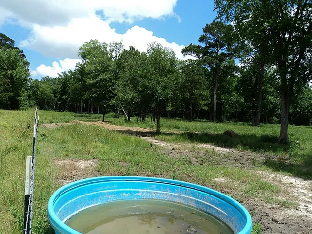 $5,495,000 | 2620 Highway 90, New Orleans, LA 70119