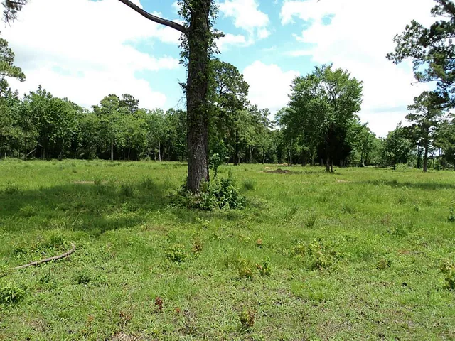 $5,495,000 | 2620 Highway 90, New Orleans, LA 70119