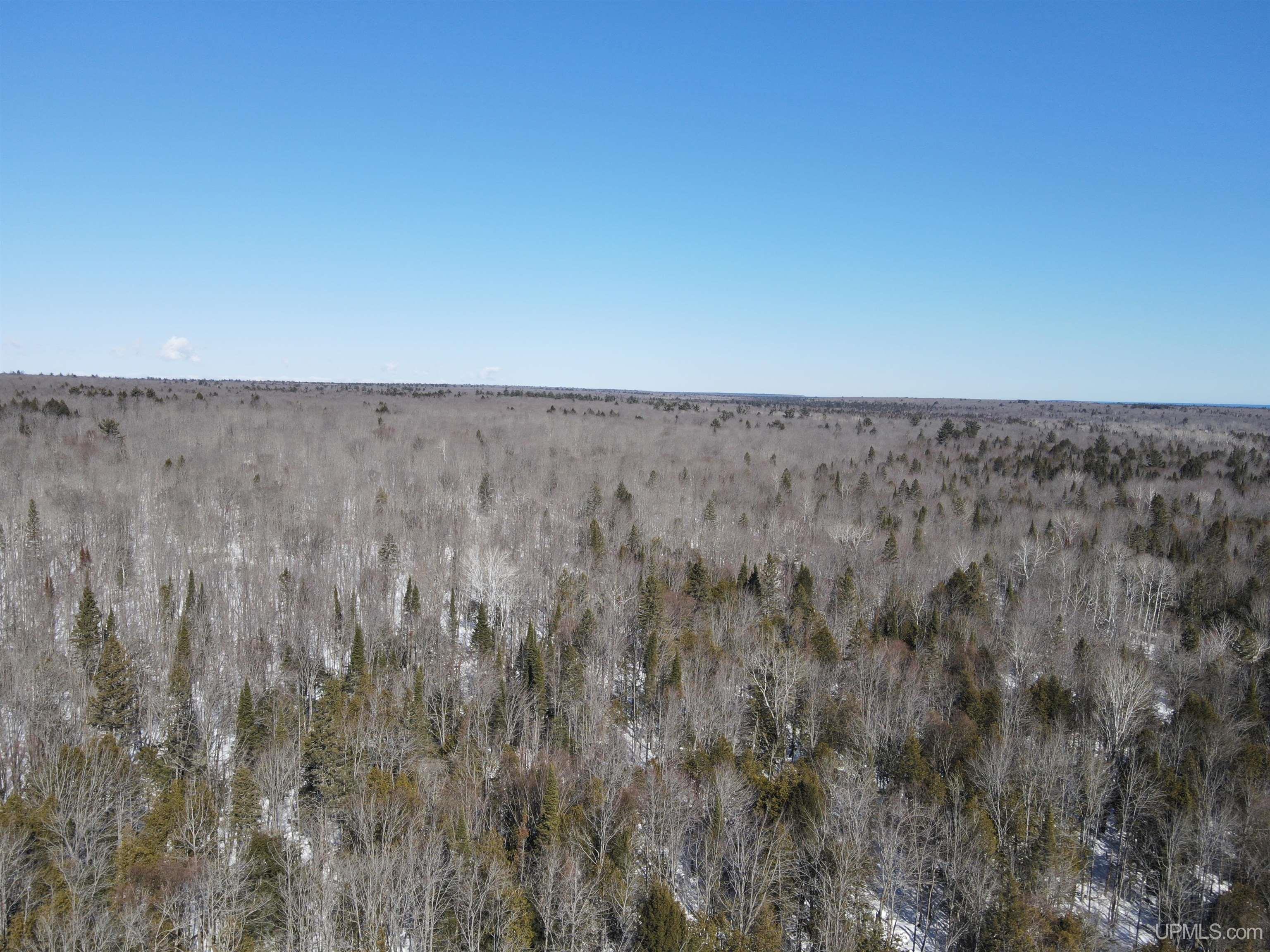 26190 Bootjack Road Lake Linden, MI 49945 - Photo 7 of 23