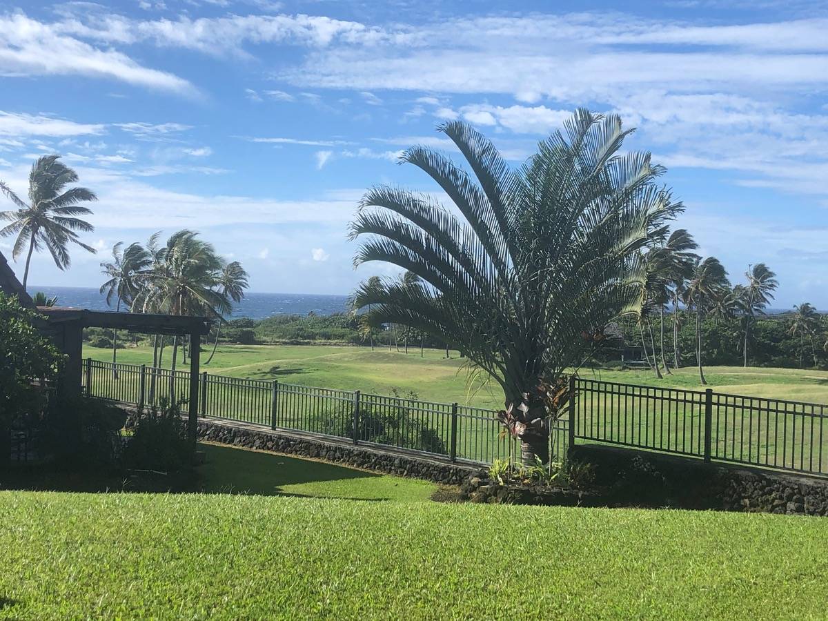 a view of a garden