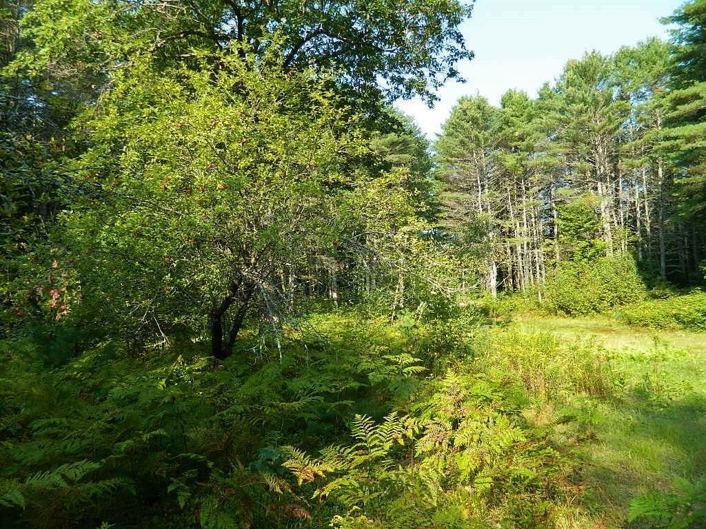 400 Pendexter Road Parsonsfield, ME 04047 - Photo 2 of 22 Photo