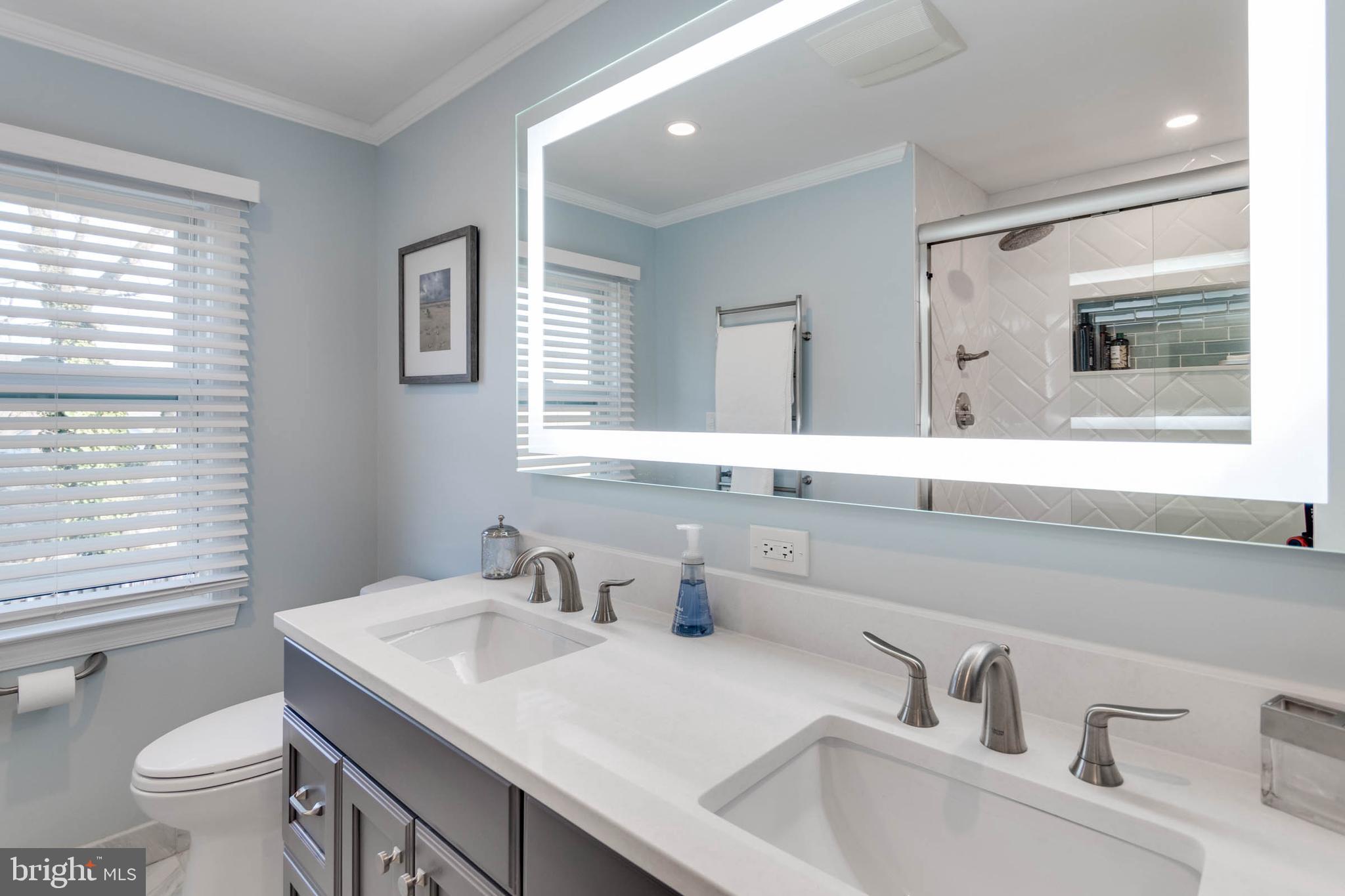 1007 St Stephens Road Alexandria, VA 22304 - Photo 45 of 59 a bathroom with a sink and a toilet