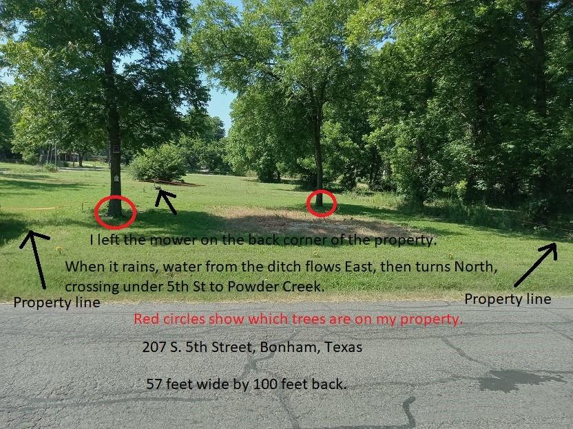 207 South 5th Street Bonham, TX 75418 - Photo 14 of 14 a green field with big trees